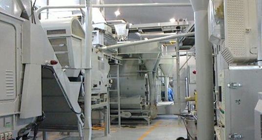  电竞青训体系完善输送优质后备力量  